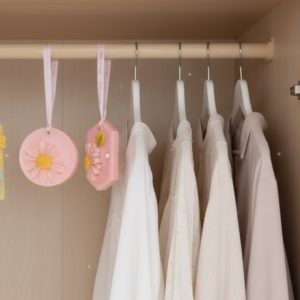 Pink Lady - Wardrobe Hanger